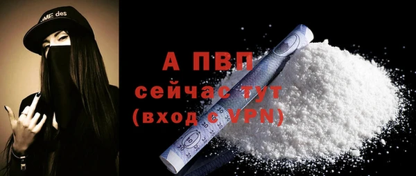 PSILOCYBIN Белокуриха