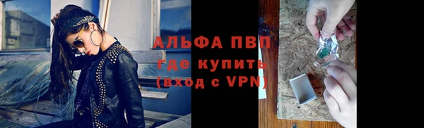 PSILOCYBIN Белокуриха