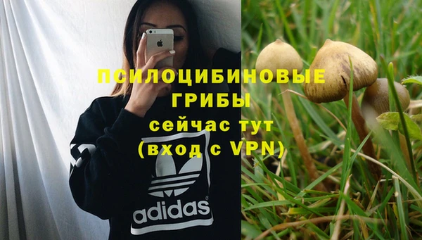 мескалин Беломорск