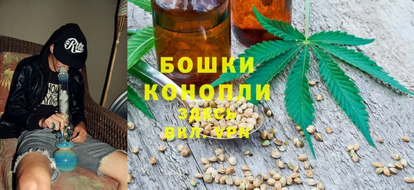 PSILOCYBIN Белокуриха