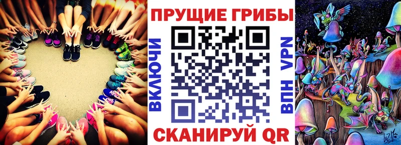 Псилоцибиновые грибы Psilocybine cubensis Наро-Фоминск